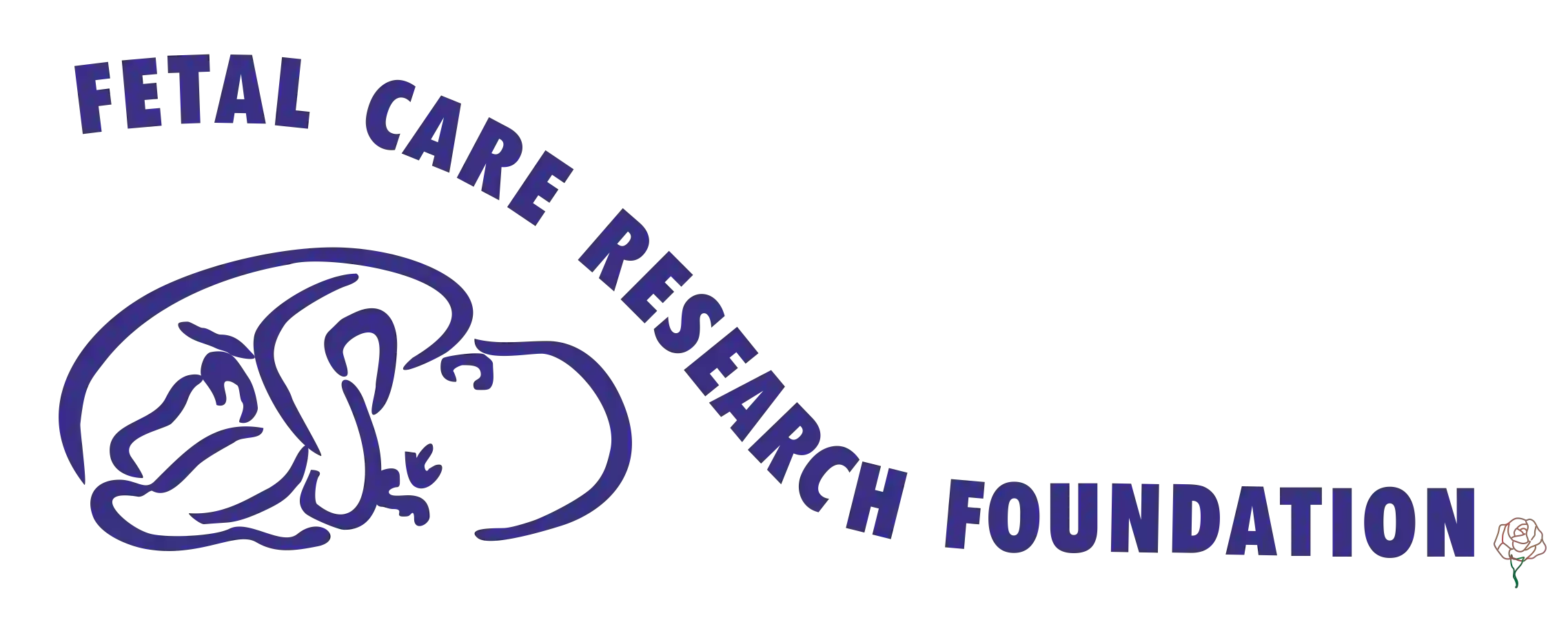 Birth Defects Registry of India